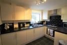 Thumbnail to rent in Lowther Road, Wheatley, Doncaster