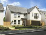 Thumbnail to rent in "Colville" at Ayton Park South, East Kilbride, Glasgow