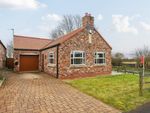 Thumbnail for sale in Fledgling Close, Eagle, Lincoln, Lincolnshire