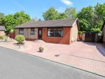 Thumbnail to rent in Lovat Road, Glenrothes