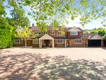 Thumbnail to rent in Ashcroft Park, Cobham, Surrey