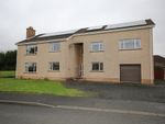 Thumbnail to rent in Red Fort Park, Carrickfergus