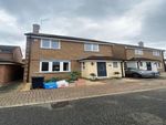 Thumbnail to rent in Lampern Close, Billericay