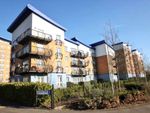 Thumbnail to rent in Luscinia View, Napier Road, Reading, Berkshire