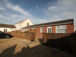 Thumbnail for sale in Neville Road, Sprowston, Norwich