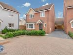Thumbnail for sale in Greengage Close, Tiptree, Colchester