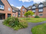 Thumbnail to rent in Christchurch Close, St Albans, Herts