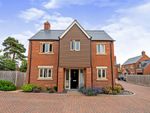 Thumbnail for sale in Salter Close, Raunds, Wellingborough