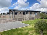 Thumbnail to rent in Boswinger, St. Austell, Cornwall