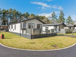 Thumbnail to rent in Ruthven Falls, Alyth, Perthshire