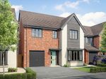 Thumbnail to rent in "The Hollicombe" at Martin Drive, Stafford
