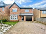Thumbnail for sale in Hamlet Close, Middlesbrough