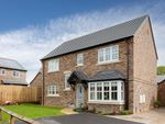 Thumbnail to rent in "Wilson" at Beaumont Hill, Darlington