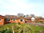 Thumbnail for sale in Orchard Close, Normandy, Guildford