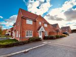 Thumbnail to rent in Dunnock Drive, Beverley