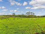 Thumbnail for sale in St. Mary's Meadow, Wingham, Canterbury, Kent