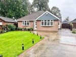 Thumbnail for sale in Meadowbank, Great Coates, Grimsby