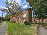 Thumbnail for sale in Ormond Road, Jordanthorpe