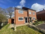 Thumbnail to rent in Haydock Drive, Darlington