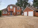 Thumbnail for sale in Manor Lea Close, Milford, Godalming