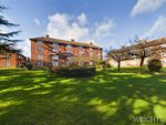 Thumbnail to rent in Springfields, Welwyn Garden City