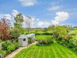Thumbnail to rent in St. Mary's Meadow, Wingham, Canterbury, Kent