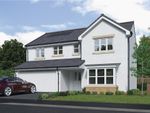 Thumbnail to rent in "Bayford" at Muirend Court, Bo'ness