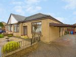 Thumbnail for sale in Torwood Avenue, Larbert