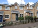 Thumbnail to rent in Thornton Drive, Colchester