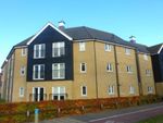Thumbnail to rent in Tayberry Close, Bury St. Edmunds