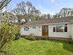 Thumbnail for sale in Queens Close, West Moors, Ferndown, Dorset