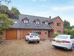 Thumbnail for sale in Snowberry Close, Taverham, Norwich