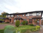 Thumbnail to rent in Glen Orchy Place, Darnley, Glasgow