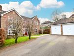 Thumbnail to rent in Roundshead Drive Warfield, Berkshire