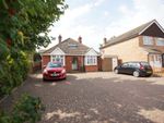 Thumbnail to rent in Forest Road, Bordon, Hampshire