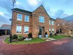 Thumbnail to rent in Brambling Grove, Wynyard, Billingham