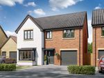 Thumbnail to rent in "The Hollicombe" at Lipwood Way, Wynyard, Billingham