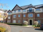 Thumbnail to rent in Trinity Mews, Darlington