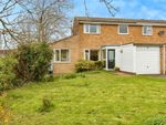 Thumbnail for sale in Shaw Close, Blandford Forum