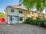 Thumbnail to rent in Plumstead Road East, Norwich, Norfolk