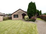 Thumbnail for sale in Strone Gardens, Kilsyth