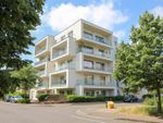 Thumbnail to rent in Northrop Road, Trumpington, Cambridge