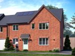 Thumbnail to rent in Primula Road, Bordon, Hampshire