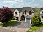 Thumbnail for sale in Pensford Way, Frome
