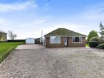 Thumbnail for sale in Bellwater Bank, New Leake, Boston, Lincolnshire