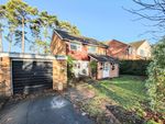 Thumbnail for sale in Roundway, Camberley, Surrey