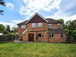 Thumbnail for sale in Mulgrave Road, Frimley, Camberley, Surrey
