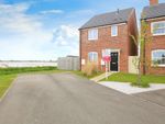 Thumbnail for sale in Lowther Avenue, Moulton, Spalding