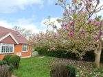 Thumbnail for sale in Kingsway, Stanwell, Staines-Upon-Thames