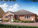 Thumbnail to rent in "The Moschatel - Plot 466" at Stirling Close, Maldon